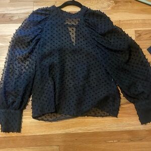 Zara sheer top